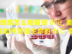 干细胞怎么唤醒细 🌸 胞（干细胞如何创造生命的 🐠 奇迹）